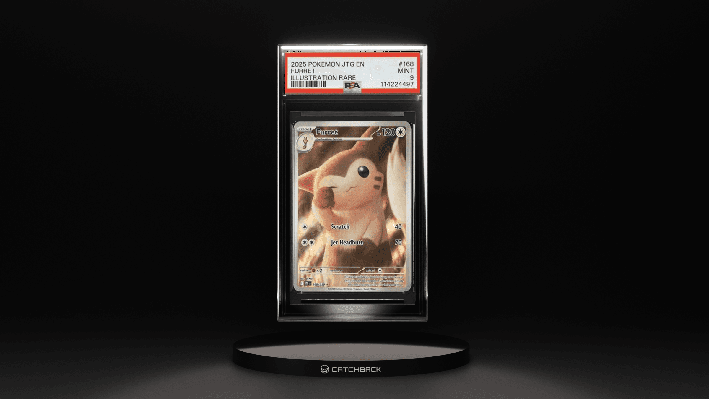 Furret Illustration Rare
