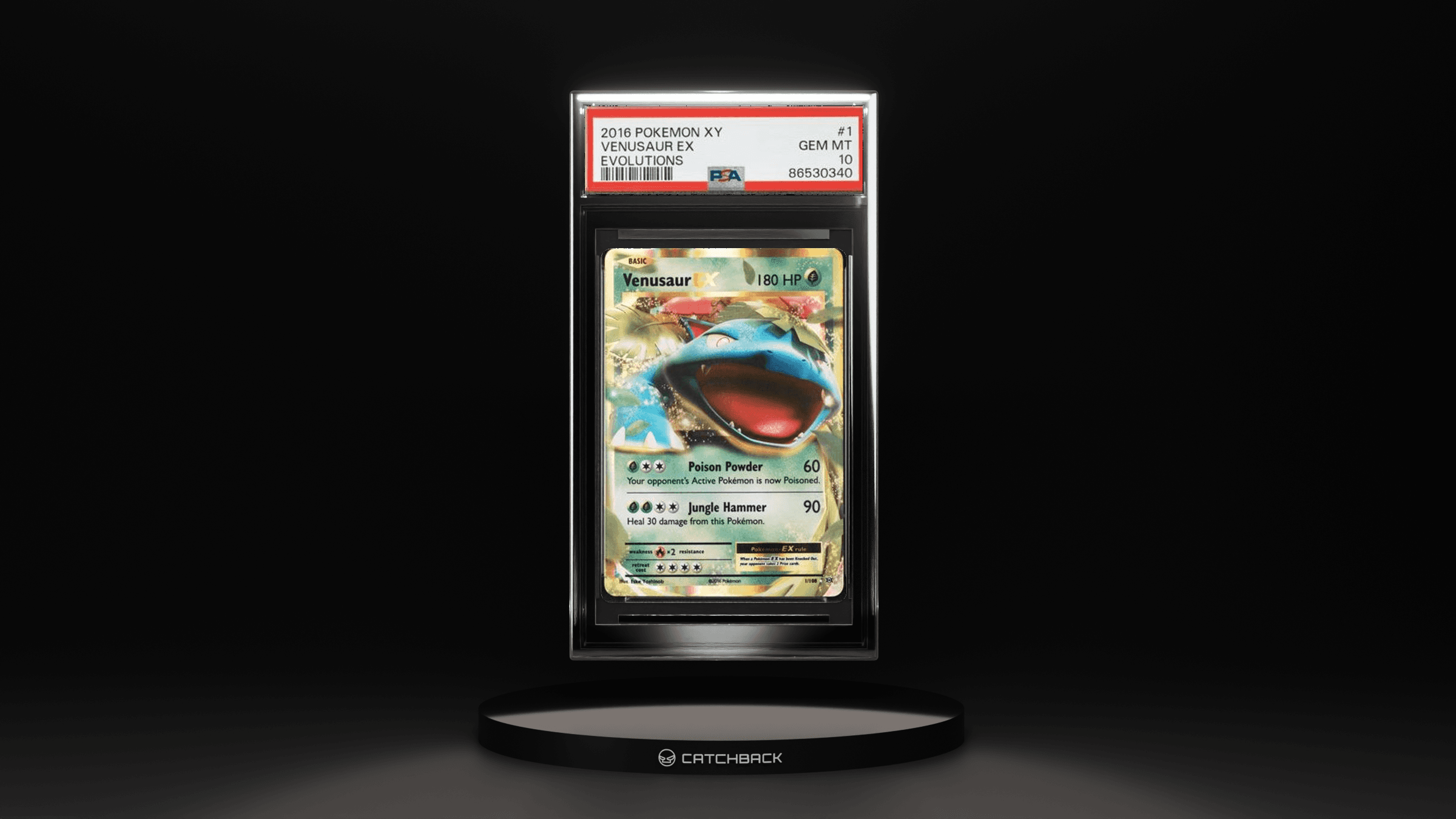 Venusaur Ex