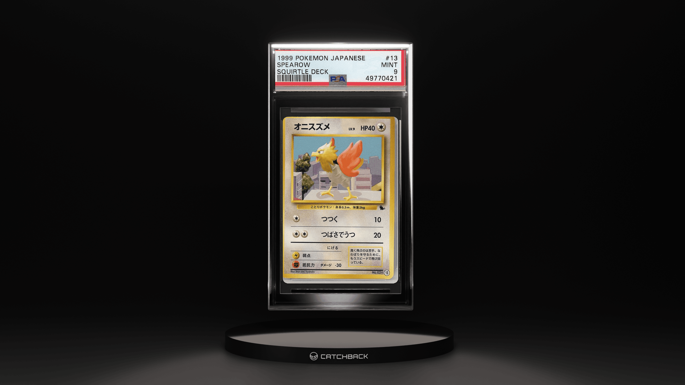 Spearow Squirtle Deck