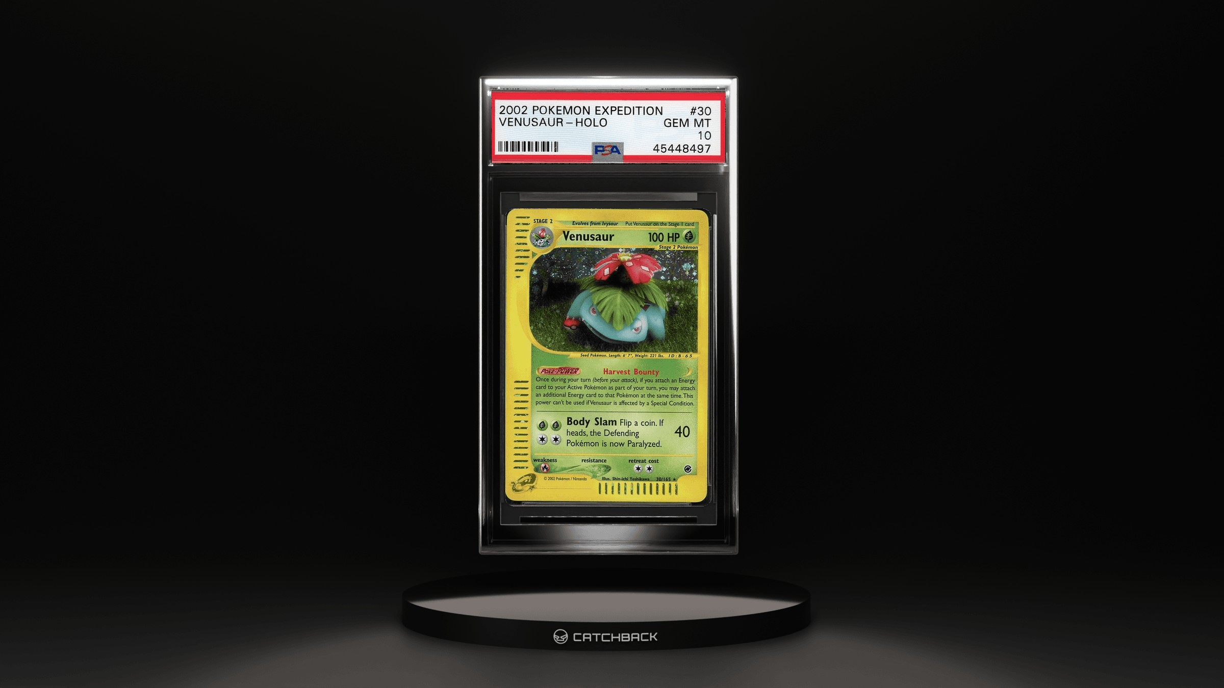 Venusaur-holo