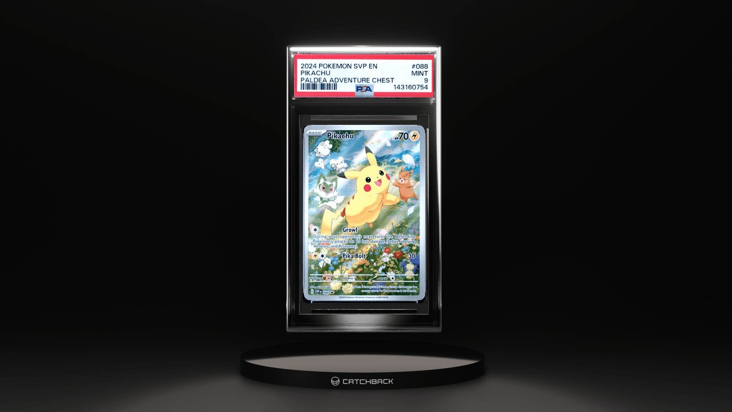 Pikachu Paldea Adventure Chest