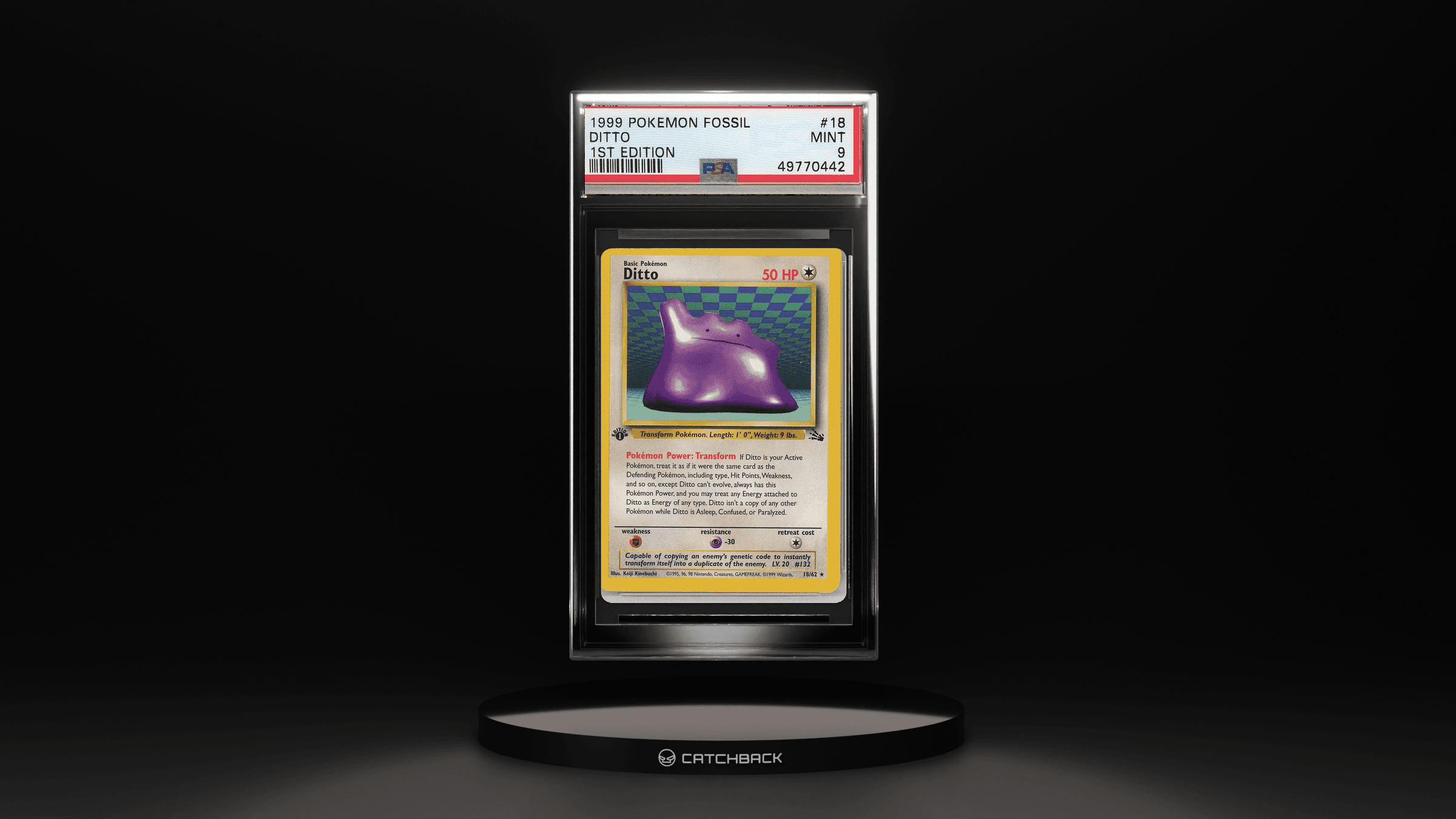 Ditto 1st Edition