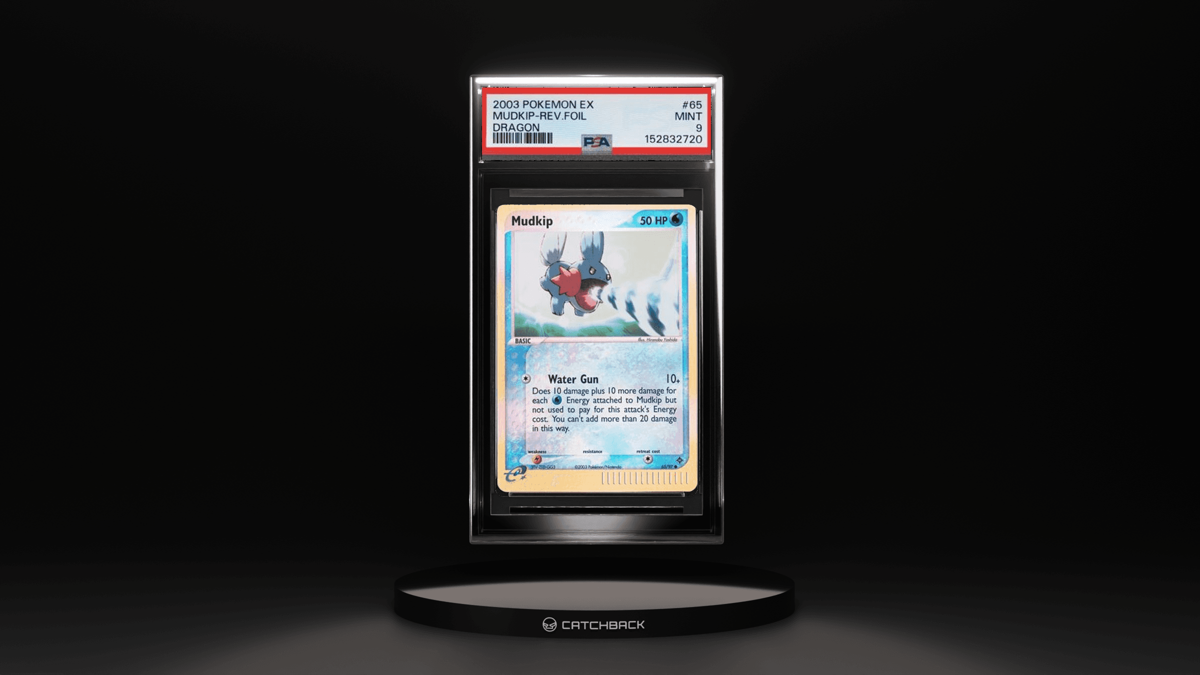 Mudkip-rev.foil Dragon