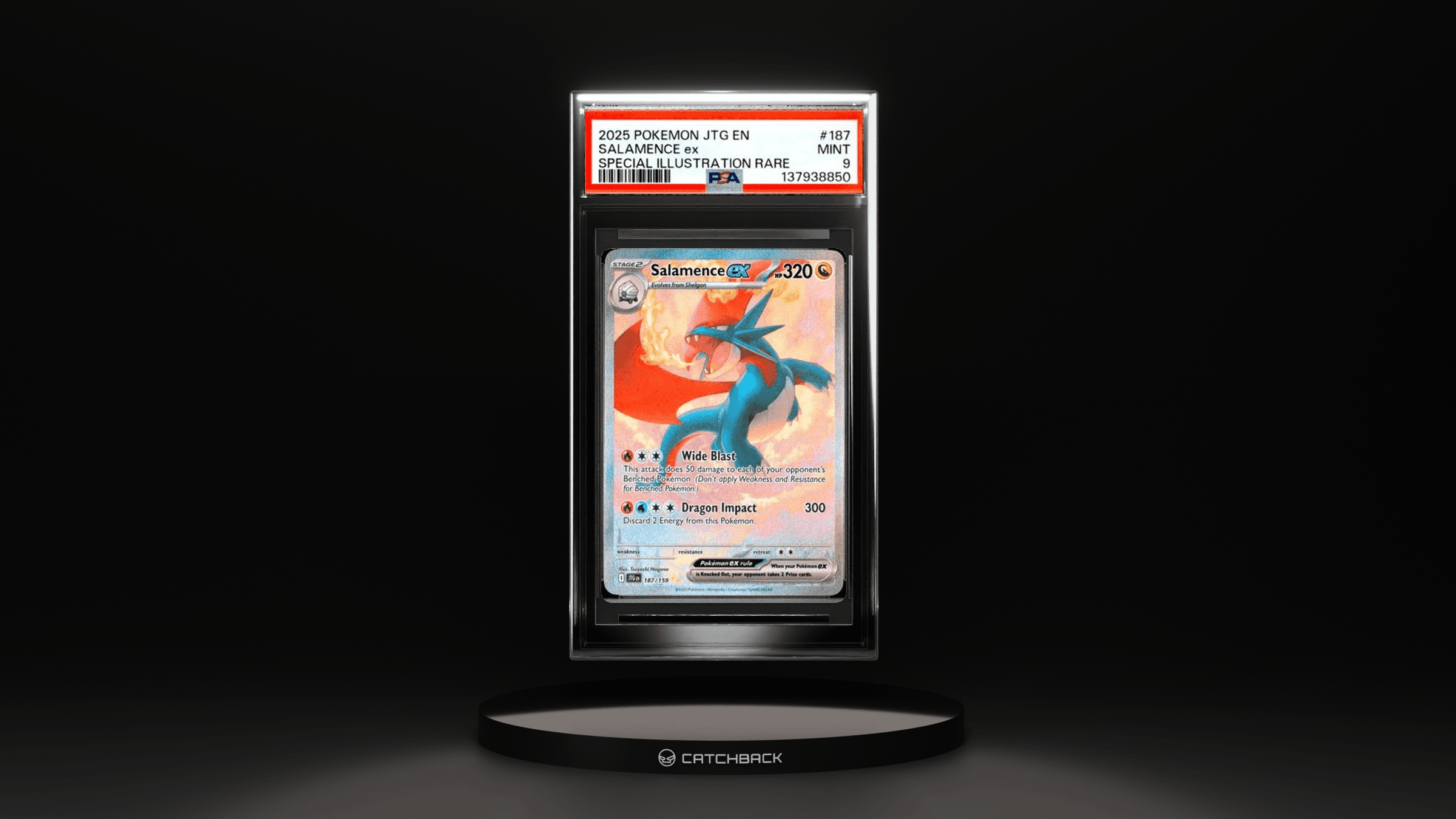 Salamence Ex Special Illustration Rare
